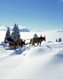Winter Snow And Sleigh With Horses wallpaper 128x160