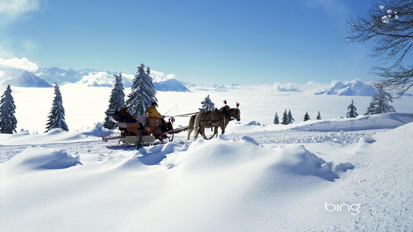 Обои Winter Snow And Sleigh With Horses 1366x768