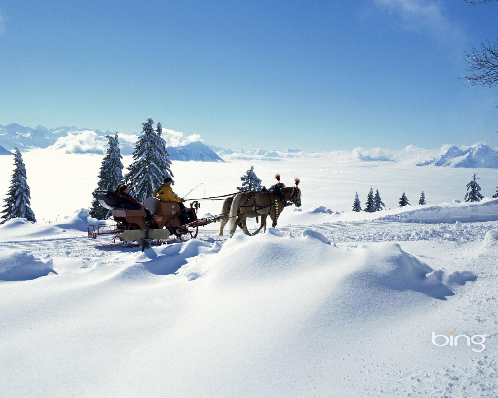 Winter Snow And Sleigh With Horses wallpaper 1600x1280