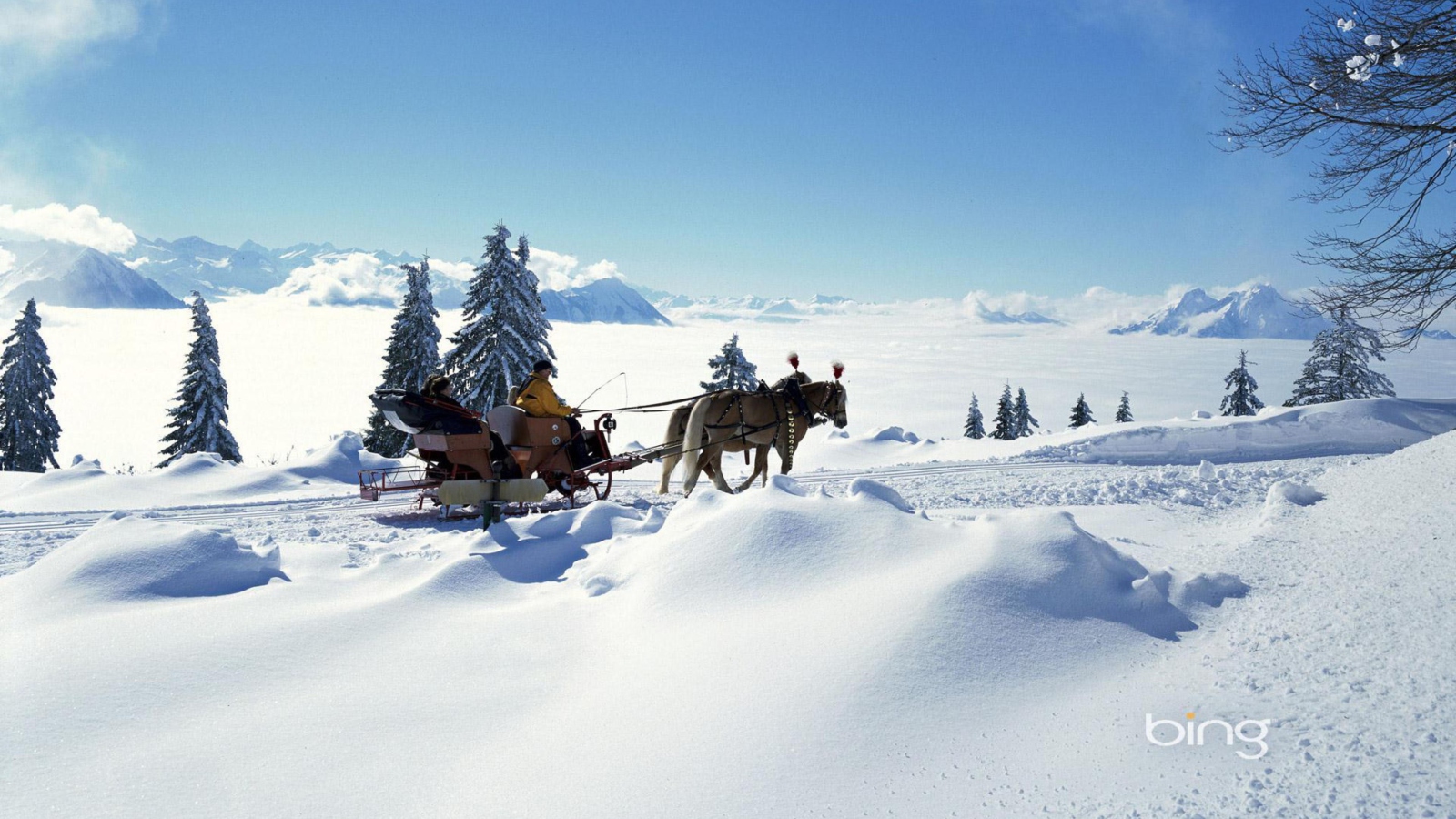 Winter Snow And Sleigh With Horses screenshot #1 1600x900