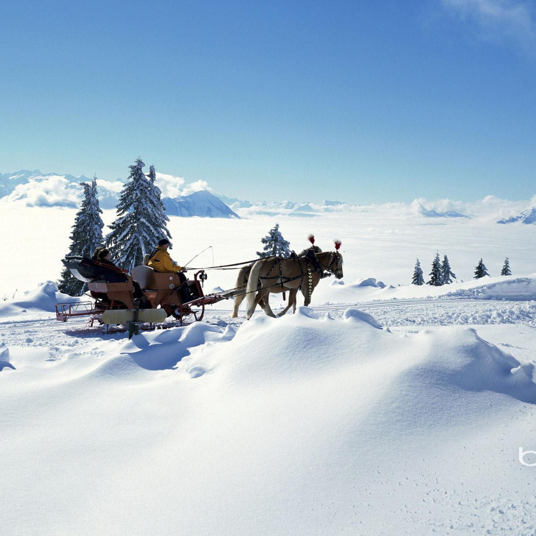 Fondo de pantalla Winter Snow And Sleigh With Horses 2048x2048