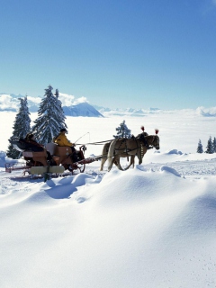 Winter Snow And Sleigh With Horses screenshot #1 240x320
