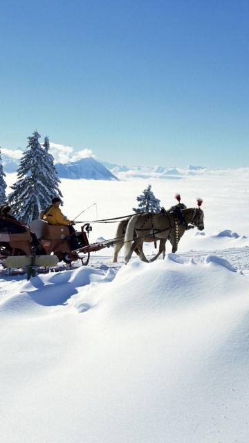 Winter Snow And Sleigh With Horses wallpaper 360x640