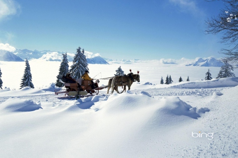 Обои Winter Snow And Sleigh With Horses 480x320