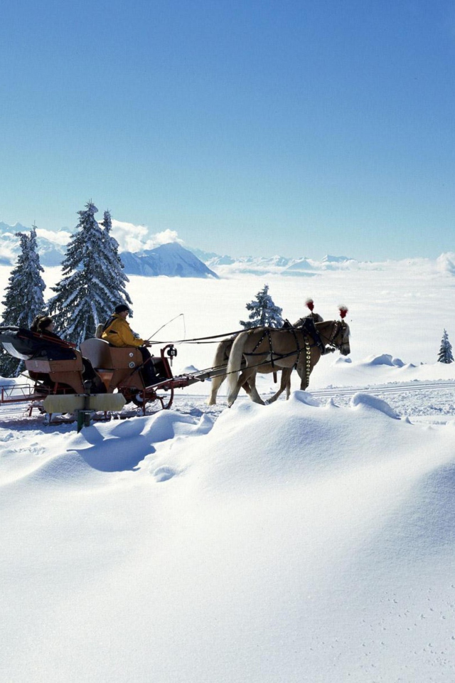 Winter Snow And Sleigh With Horses wallpaper 640x960