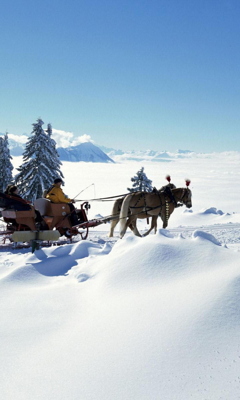 Обои Winter Snow And Sleigh With Horses 768x1280