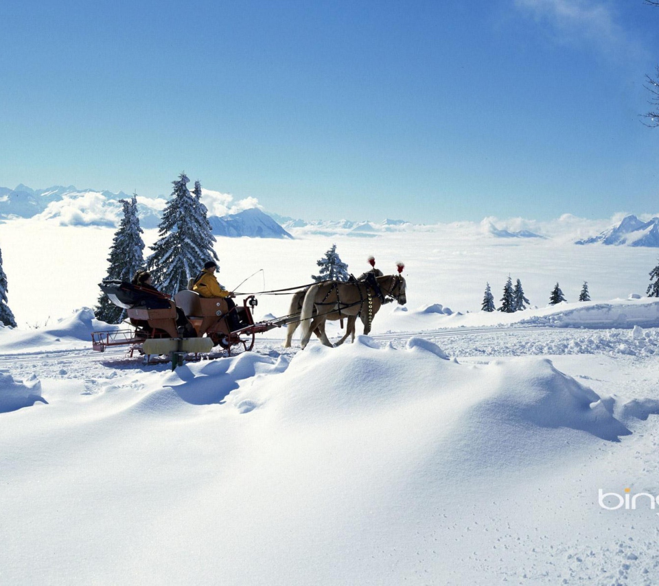 Winter Snow And Sleigh With Horses screenshot #1 960x854