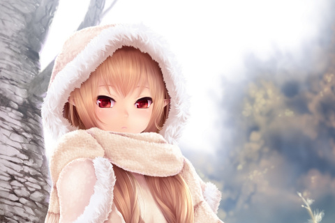 Das Winter Anime Girl Wallpaper 480x320