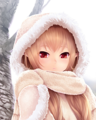 Winter Anime Girl papel de parede para celular para Nokia C5-06