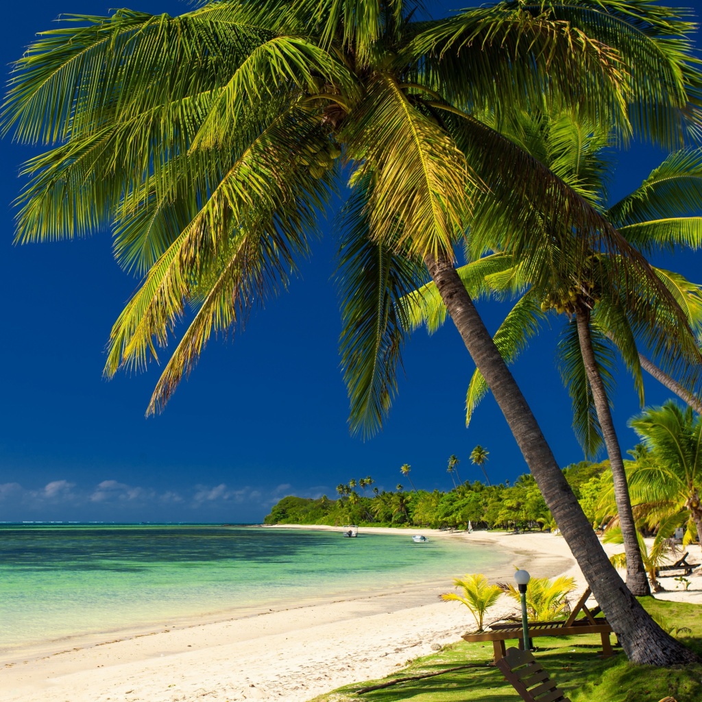 Fondo de pantalla Paradise Coast Dominican Republic 1024x1024