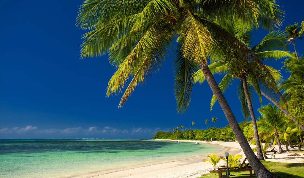 Sfondi Paradise Coast Dominican Republic 1024x600