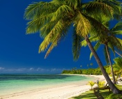 Sfondi Paradise Coast Dominican Republic 176x144