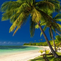 Paradise Coast Dominican Republic screenshot #1 208x208
