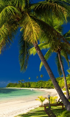 Обои Paradise Coast Dominican Republic 240x400