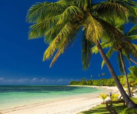 Fondo de pantalla Paradise Coast Dominican Republic 480x400