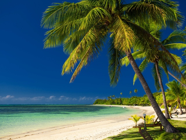 Обои Paradise Coast Dominican Republic 640x480