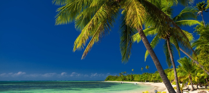 Sfondi Paradise Coast Dominican Republic 720x320