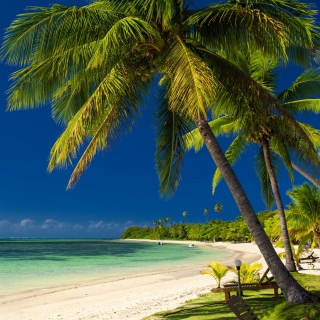 Paradise Coast Dominican Republic sfondi gratuiti per 1024x1024