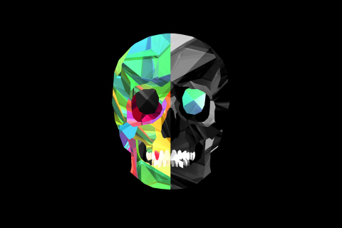 Fondo de pantalla Skull Art 480x320