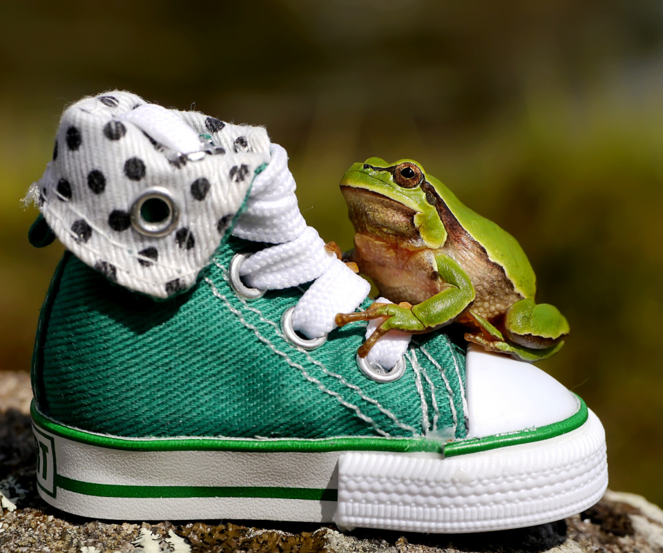 Das Green Frog Sneakers Wallpaper 960x800