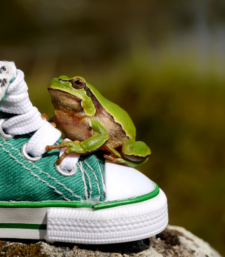 Green Frog Sneakers sfondi gratuiti per iPhone 6 Plus