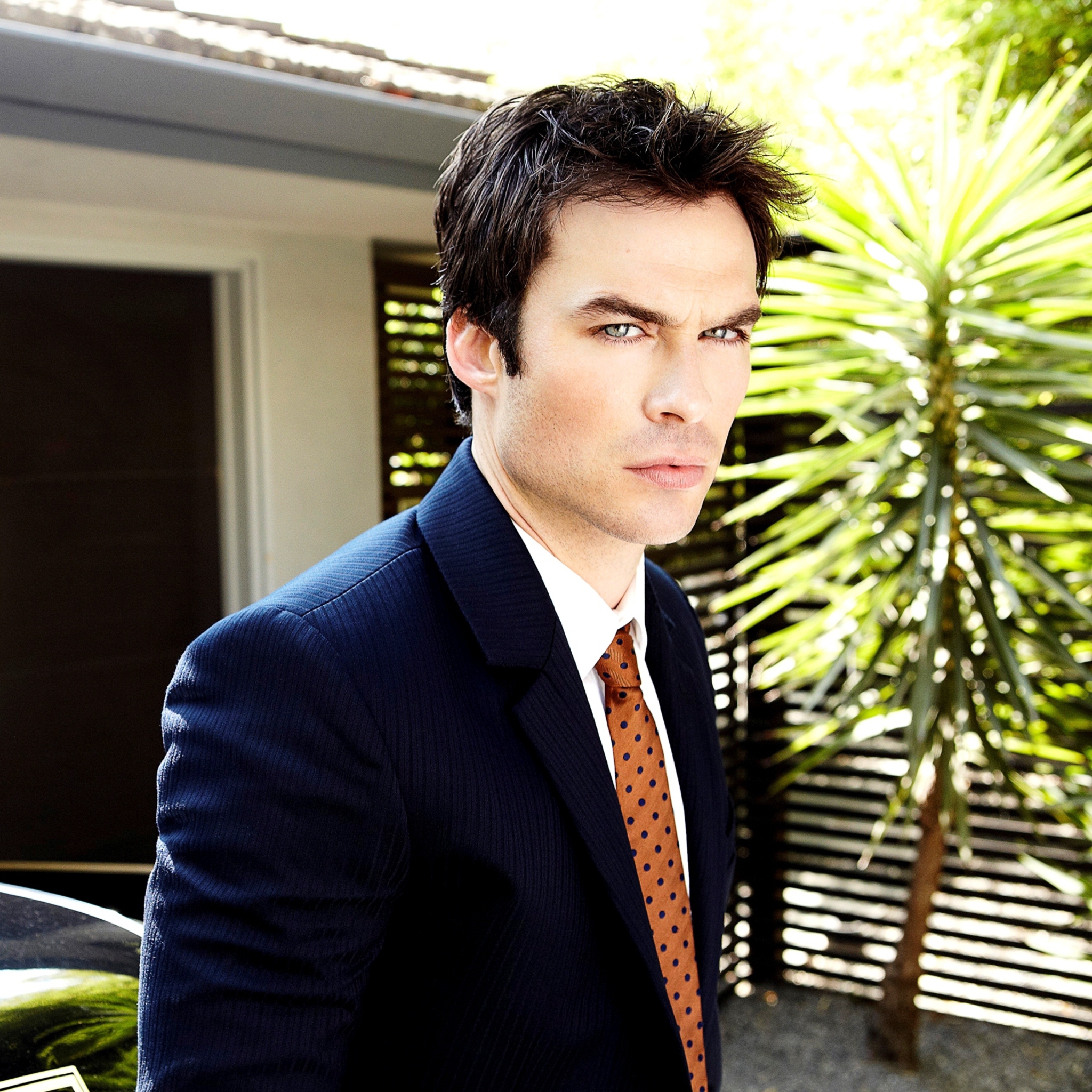 Das Ian Somerhalder Wallpaper 2048x2048