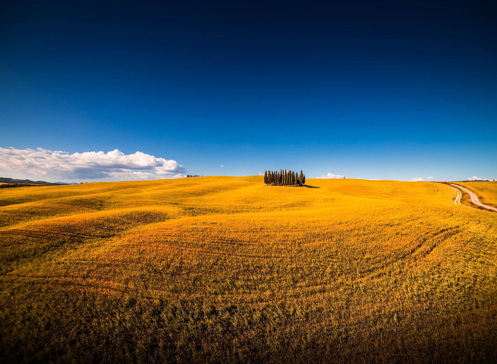 Montalcino in Tuscany screenshot #1 1920x1408