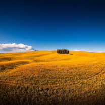 Sfondi Montalcino in Tuscany 208x208