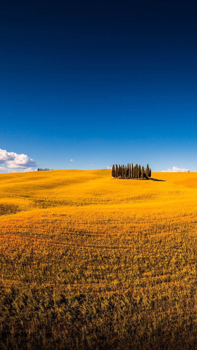 Sfondi Montalcino in Tuscany 640x1136