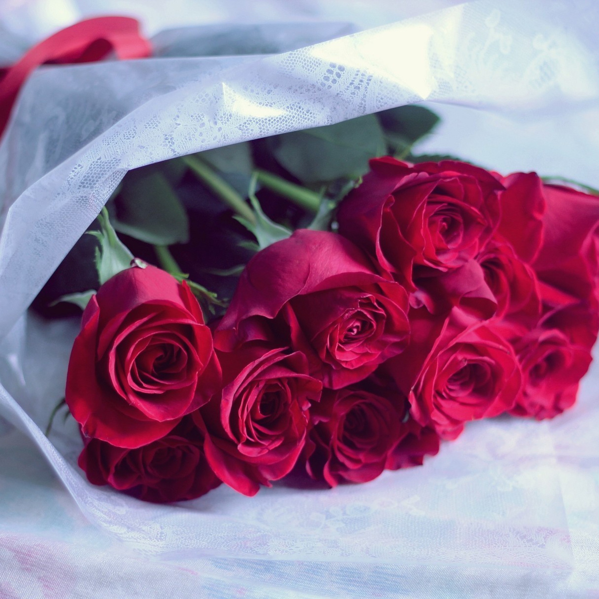Обои Red Roses 2048x2048