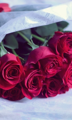 Red Roses wallpaper 240x400