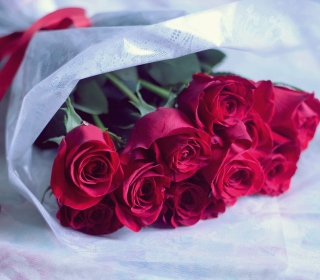 Red Roses - Fondos de pantalla gratis para 208x208