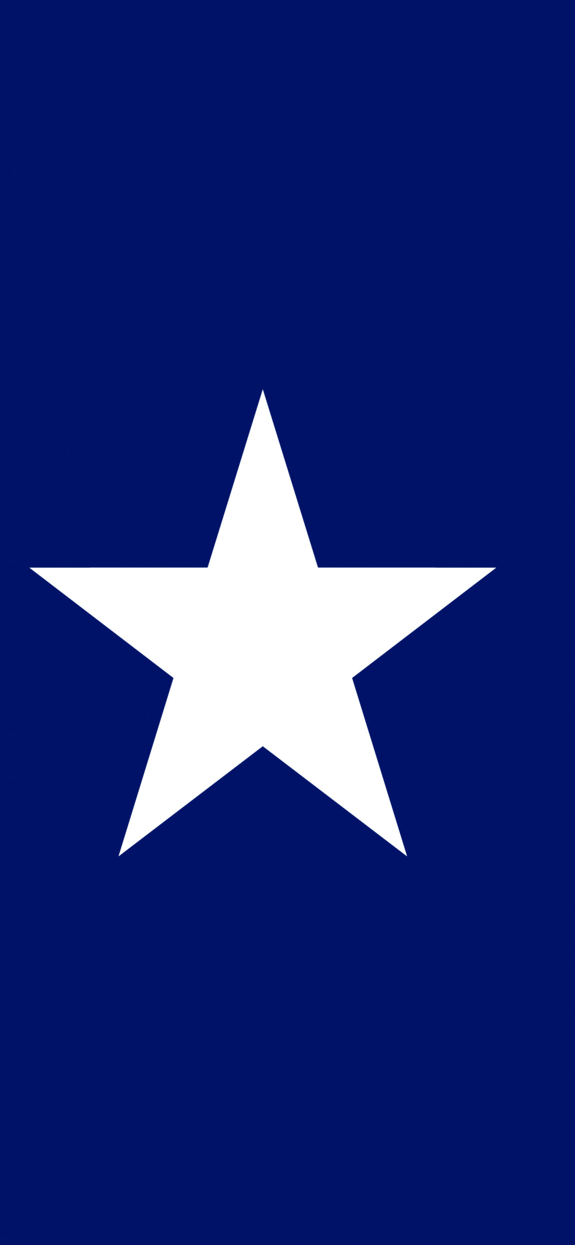 Sfondi USA Texas Flag 1170x2532
