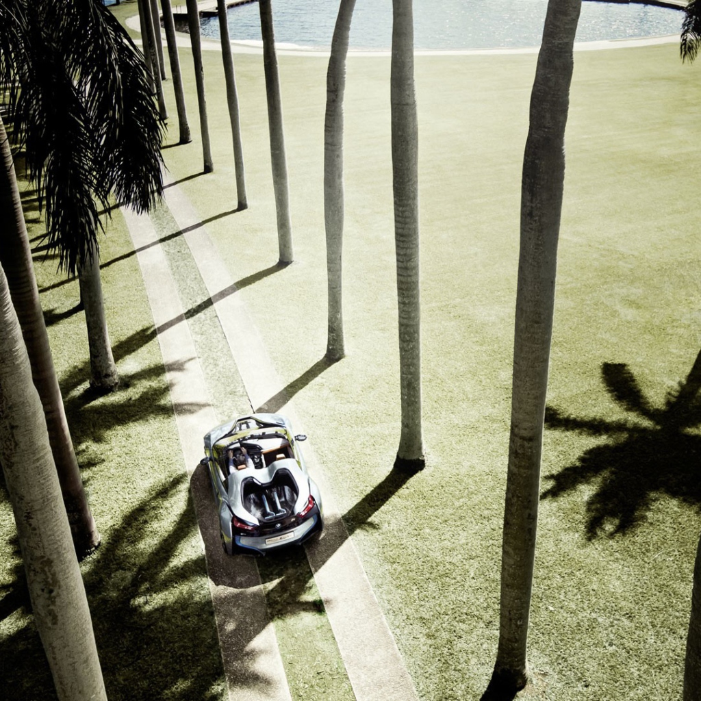 Обои BMW i8 Concept Spyder Under Palm Trees 1024x1024