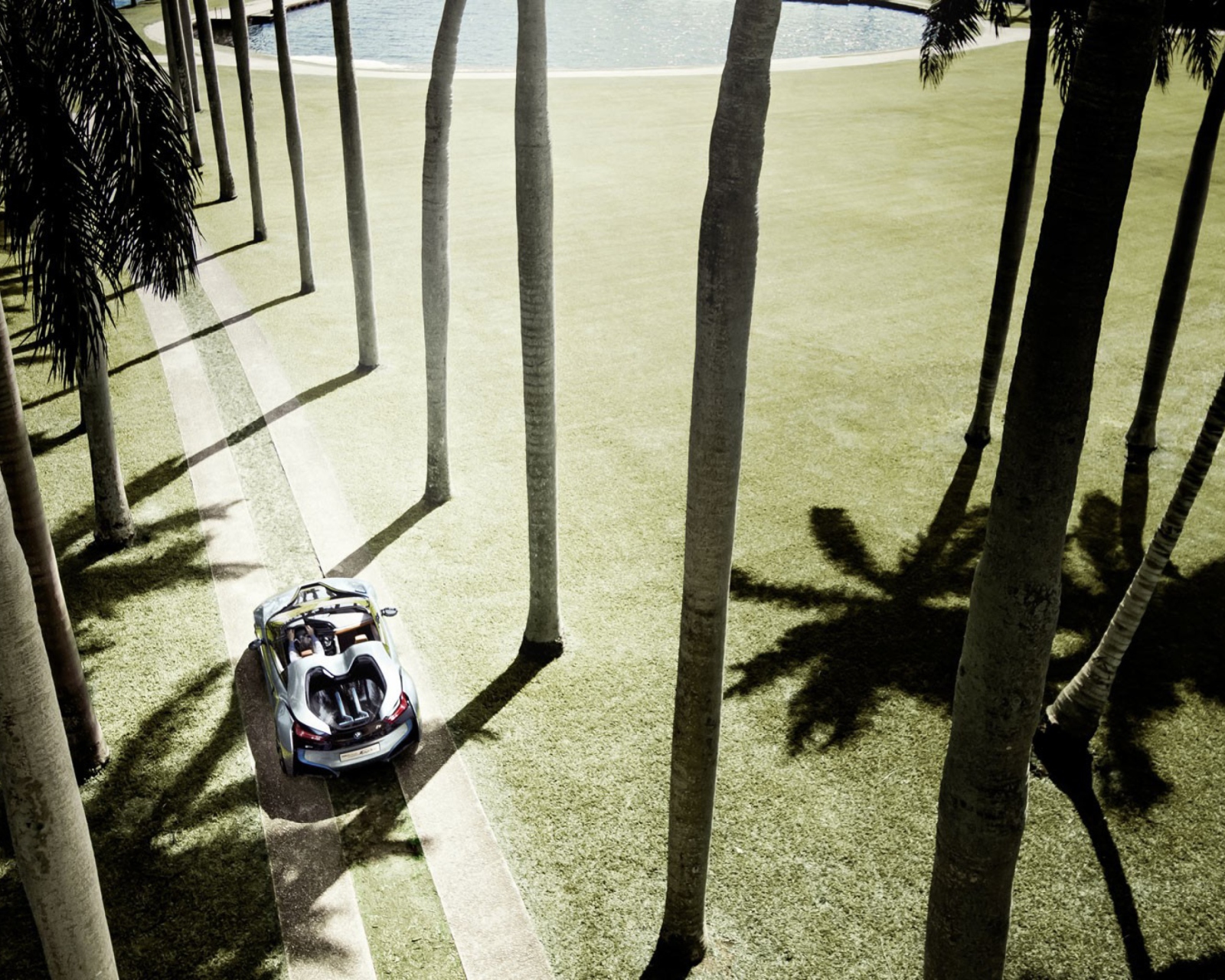BMW i8 Concept Spyder Under Palm Trees screenshot #1 1600x1280