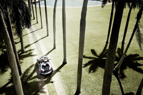 BMW i8 Concept Spyder Under Palm Trees wallpaper 480x320