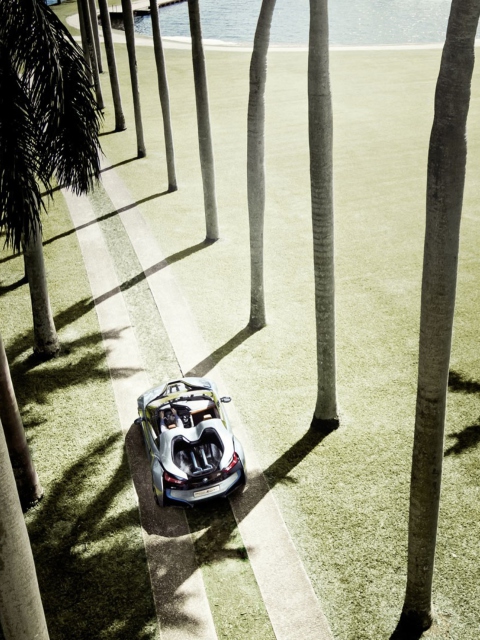 Das BMW i8 Concept Spyder Under Palm Trees Wallpaper 480x640