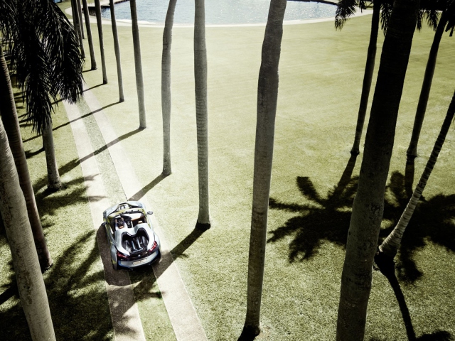 Das BMW i8 Concept Spyder Under Palm Trees Wallpaper 640x480