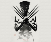 Das The Wolverine 2013 Wallpaper 176x144