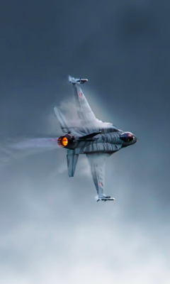 Fondo de pantalla F 16 Fighting Falcon 240x400