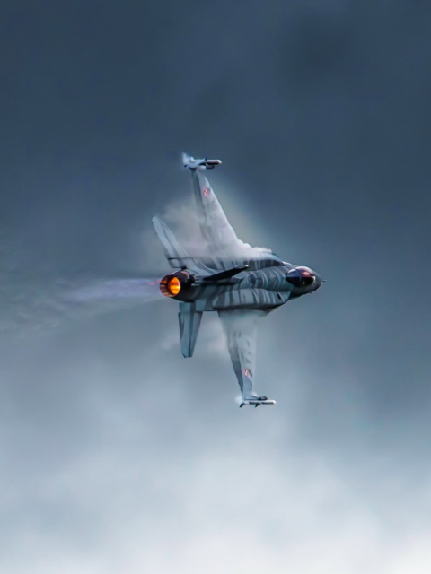 F 16 Fighting Falcon wallpaper 480x640