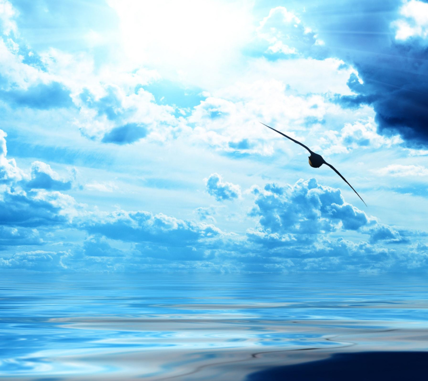 Das Silent Blue Sea Wallpaper 1440x1280