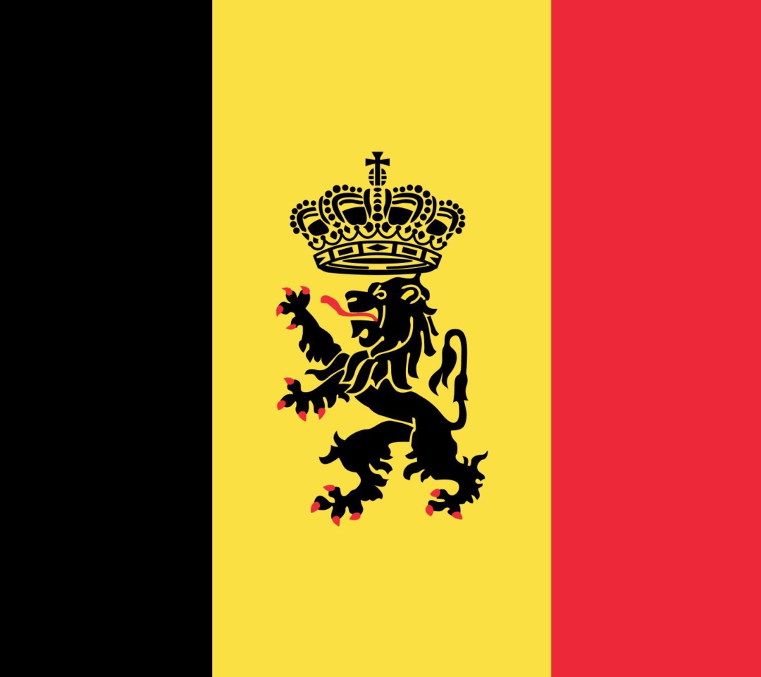 Fondo de pantalla Belgium Flag and Gerb 1080x960