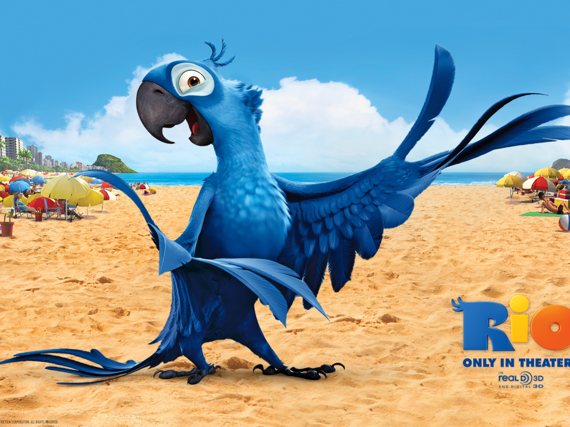 Rio Character Blu wallpaper 1152x864