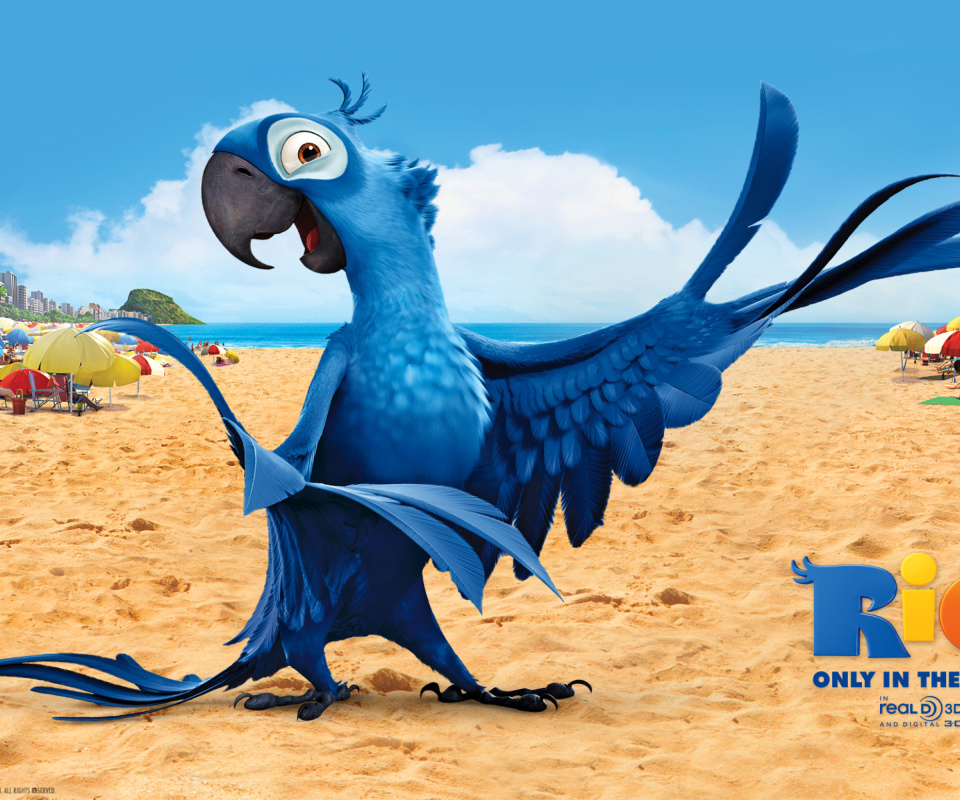 Rio Character Blu wallpaper 960x800