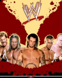 Screenshot №1 pro téma WWE Superstars 128x160