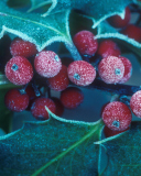 Das Frosted Holly Berries Wallpaper 128x160