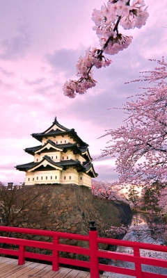 Screenshot №1 pro téma Hirosaki Castle Japan 240x400