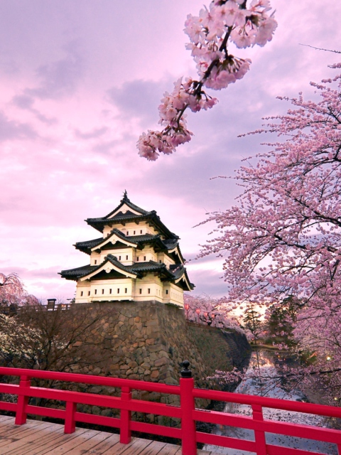 Sfondi Hirosaki Castle Japan 480x640