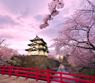 Kostenloses Hirosaki Castle Japan Wallpaper für Samsung B159 Hero Plus